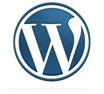 wordpress30