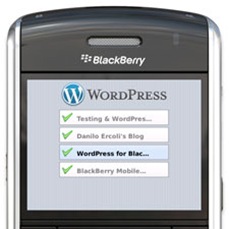 wordpress-sms-onlinetrziste