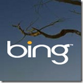 bing