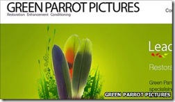 _51695593_greenparrot