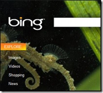 bing_microsoft_onlinetrziste