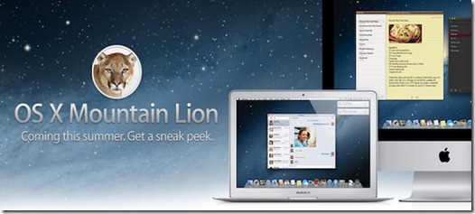 mountain-lion